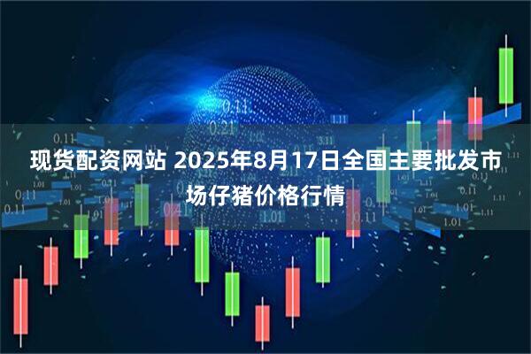 现货配资网站 2025年8月17日全国主要批发市场仔猪价格行情