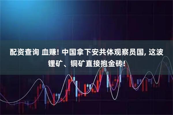 配资查询 血赚! 中国拿下安共体观察员国, 这波锂矿、铜矿直接抱金砖!