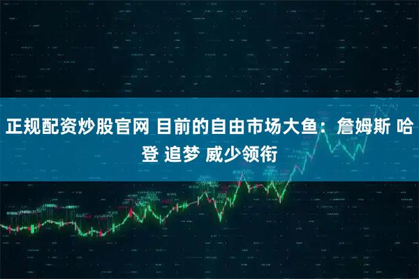 正规配资炒股官网 目前的自由市场大鱼：詹姆斯 哈登 追梦 威少领衔